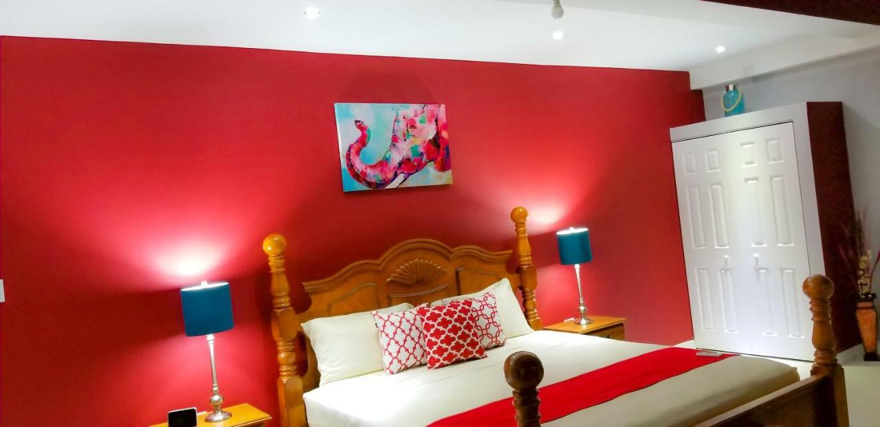 New Kingston Guest Apartments @ Donhead Εξωτερικό φωτογραφία